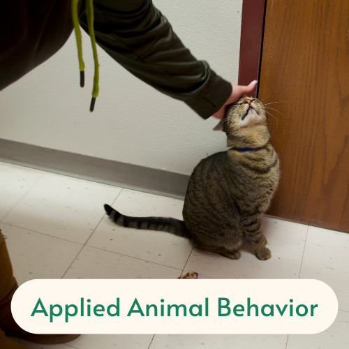 Applied Animal Behavior