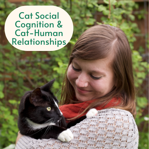 Cat-Human Social Interaction